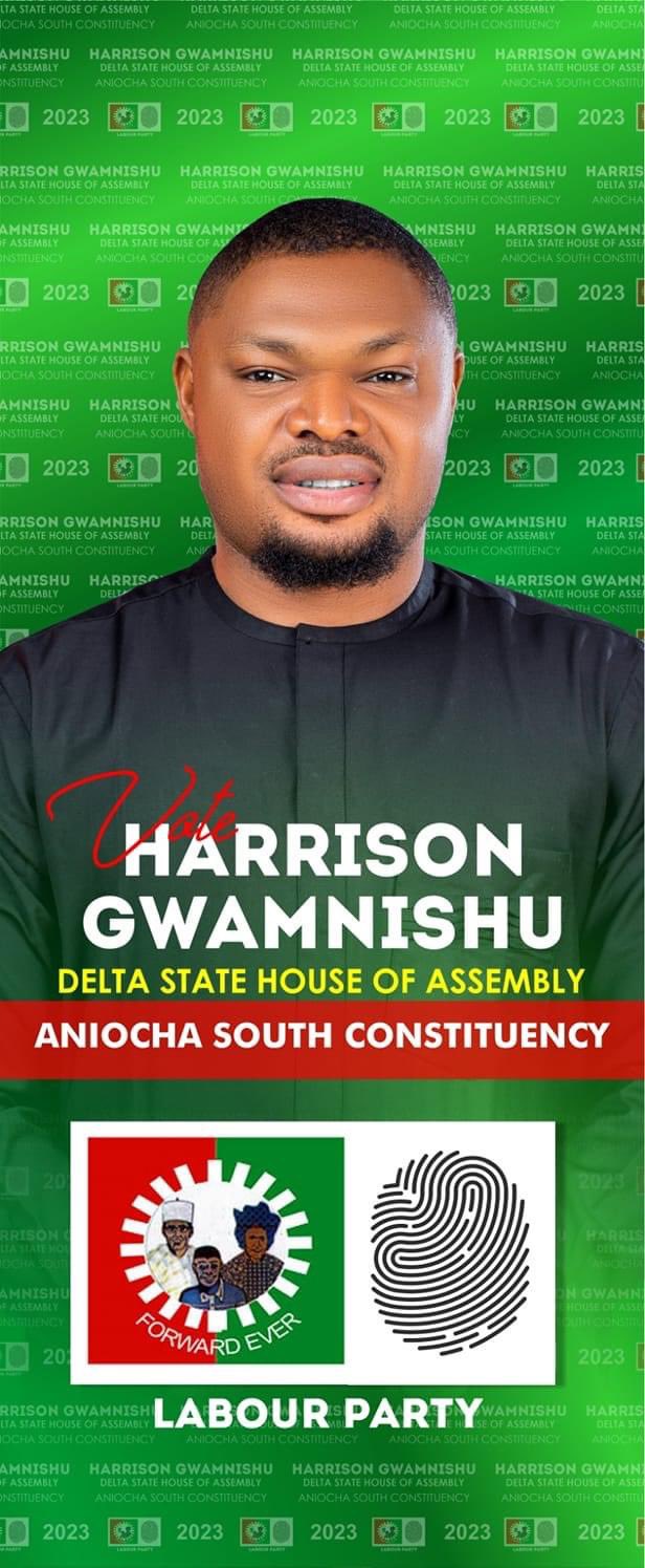 Harrison Gwamnishu, Candidate for Delta State House of Assembly Quits Labour