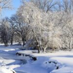 Political Turmoil Erupts as Military Seizes Control in Guinea-Bissau