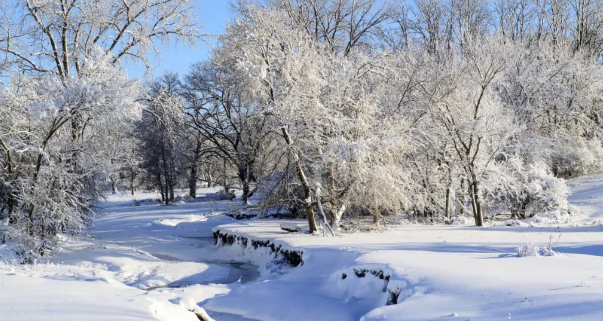 The Formation of Snow in the Troposphere